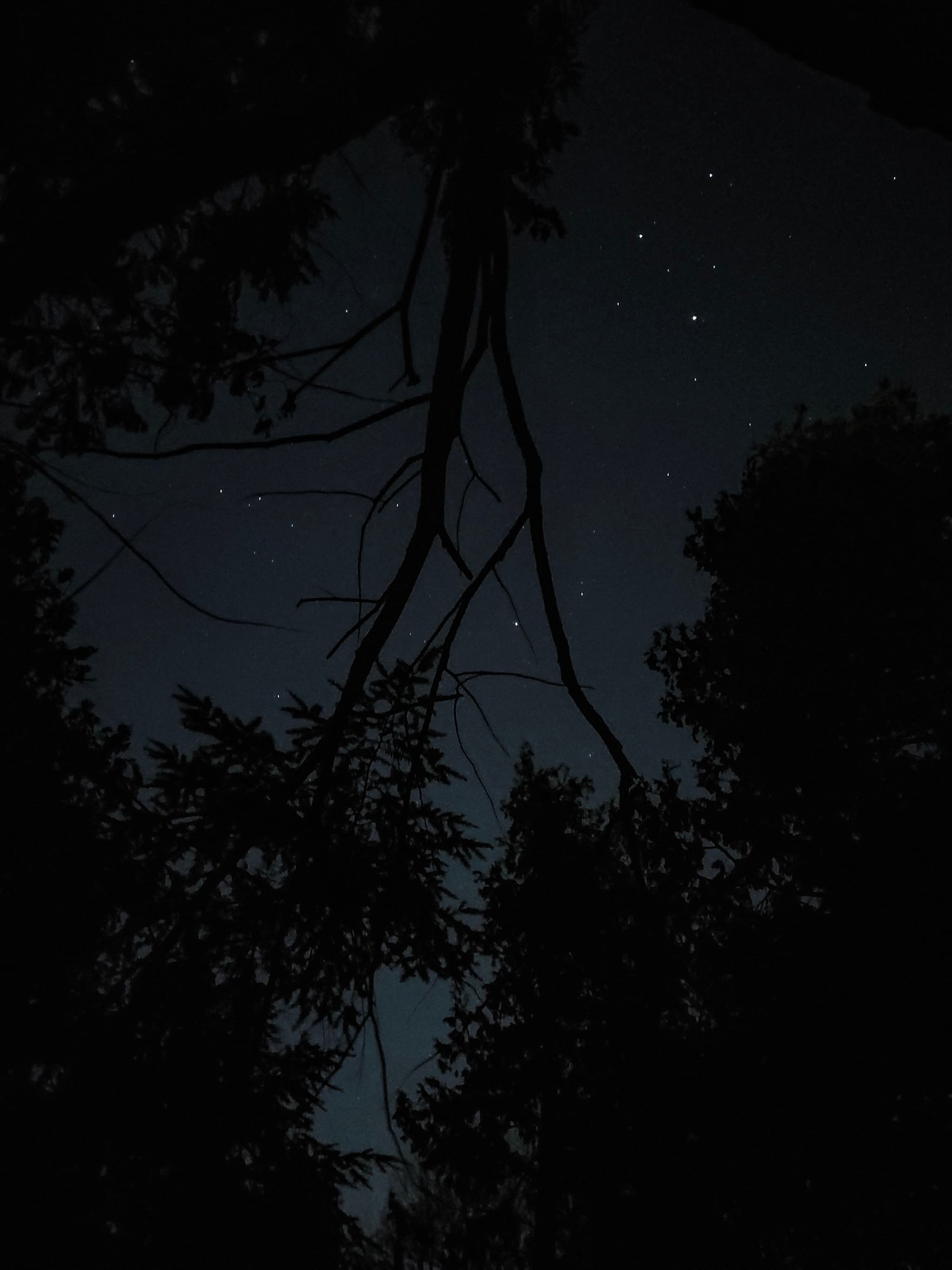 Thought I was cooked